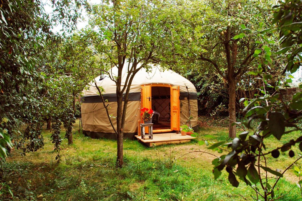 Hotel Stamford Meadows Glamping With Private Hot Tubs Exteriér fotografie